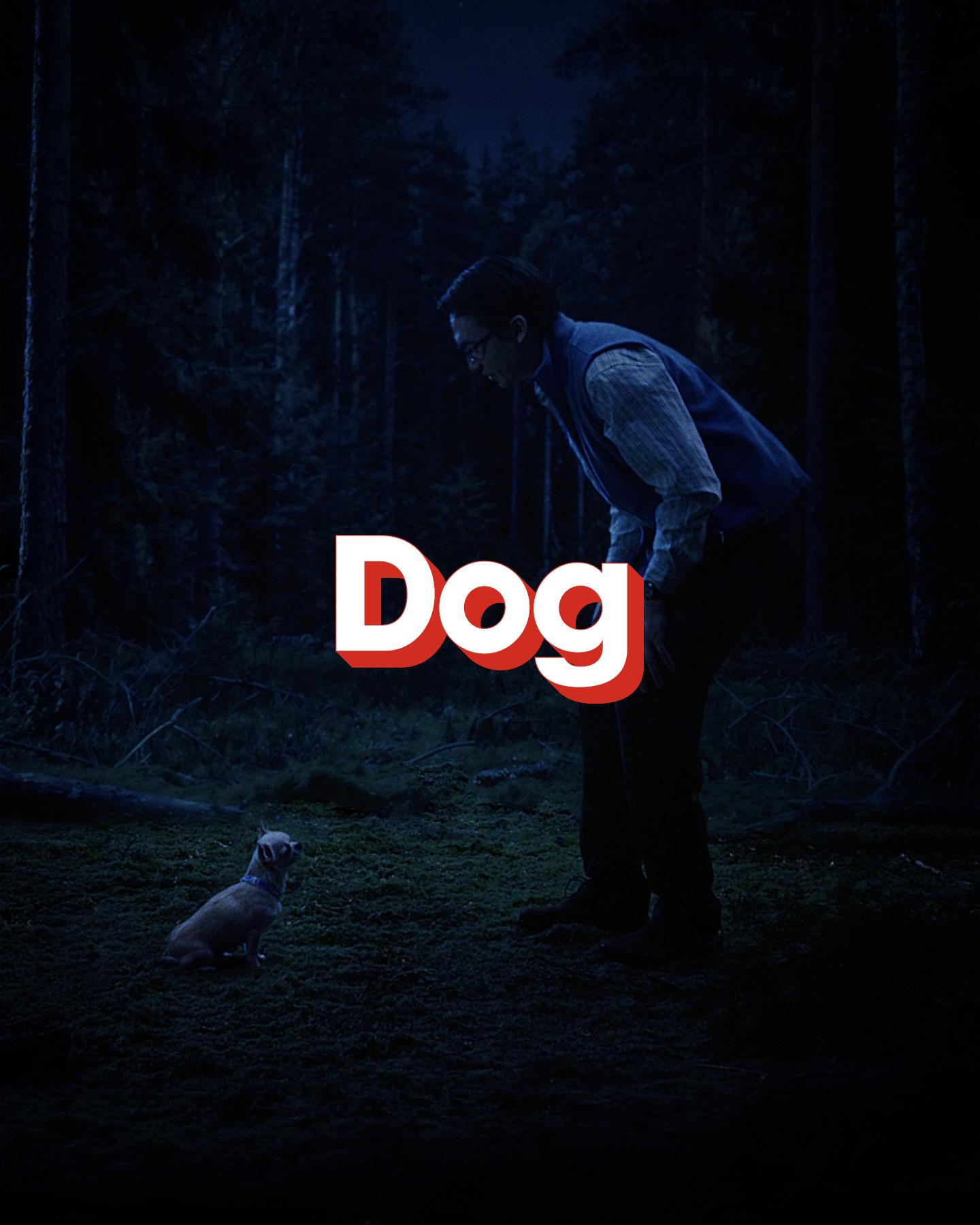 Dog